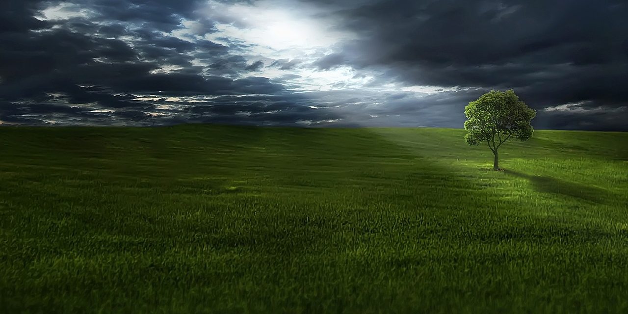 Learn Reiki Angels pain loss sad unhappy