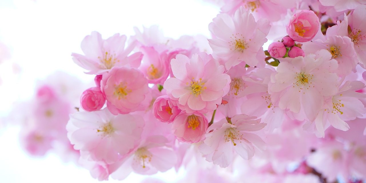 Reiki i healing qualification