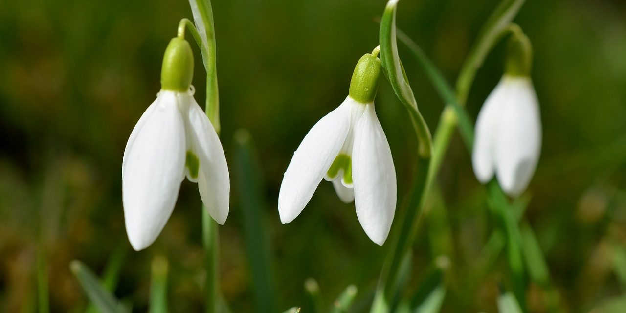 Reiki 11 qualification course