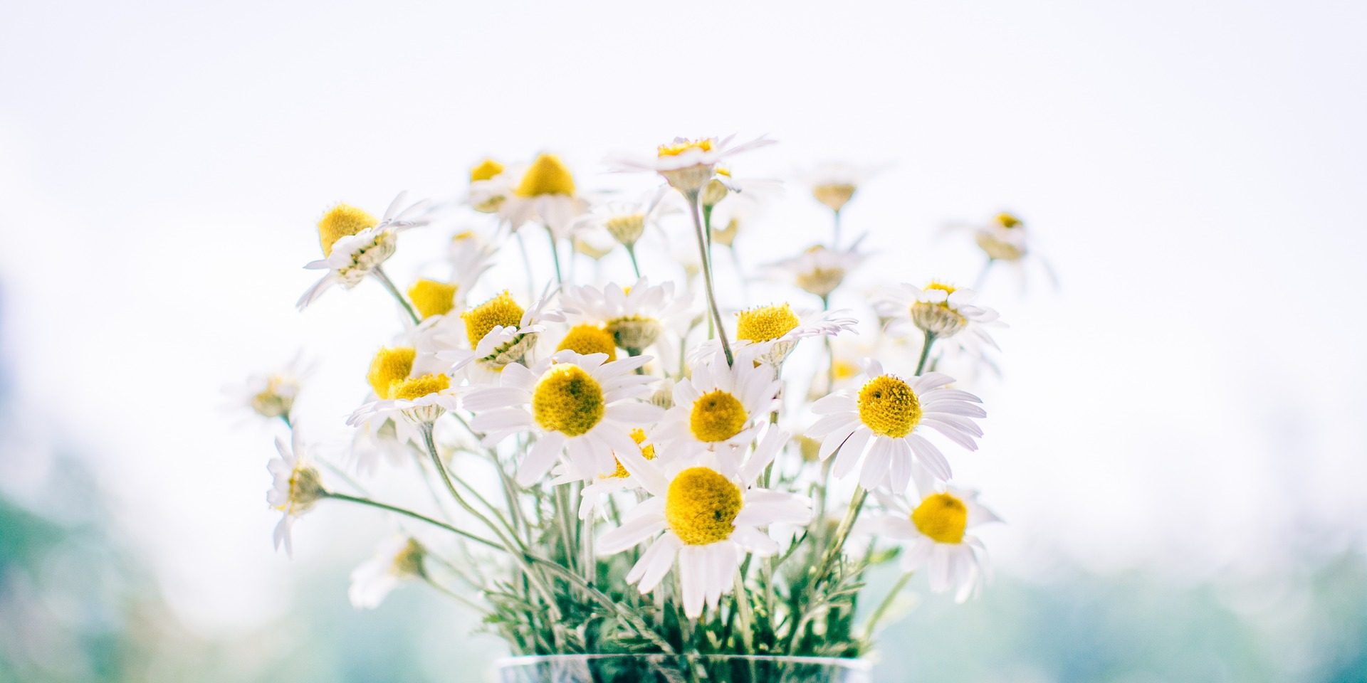 Learn Reiki 2 Manchester Warrington