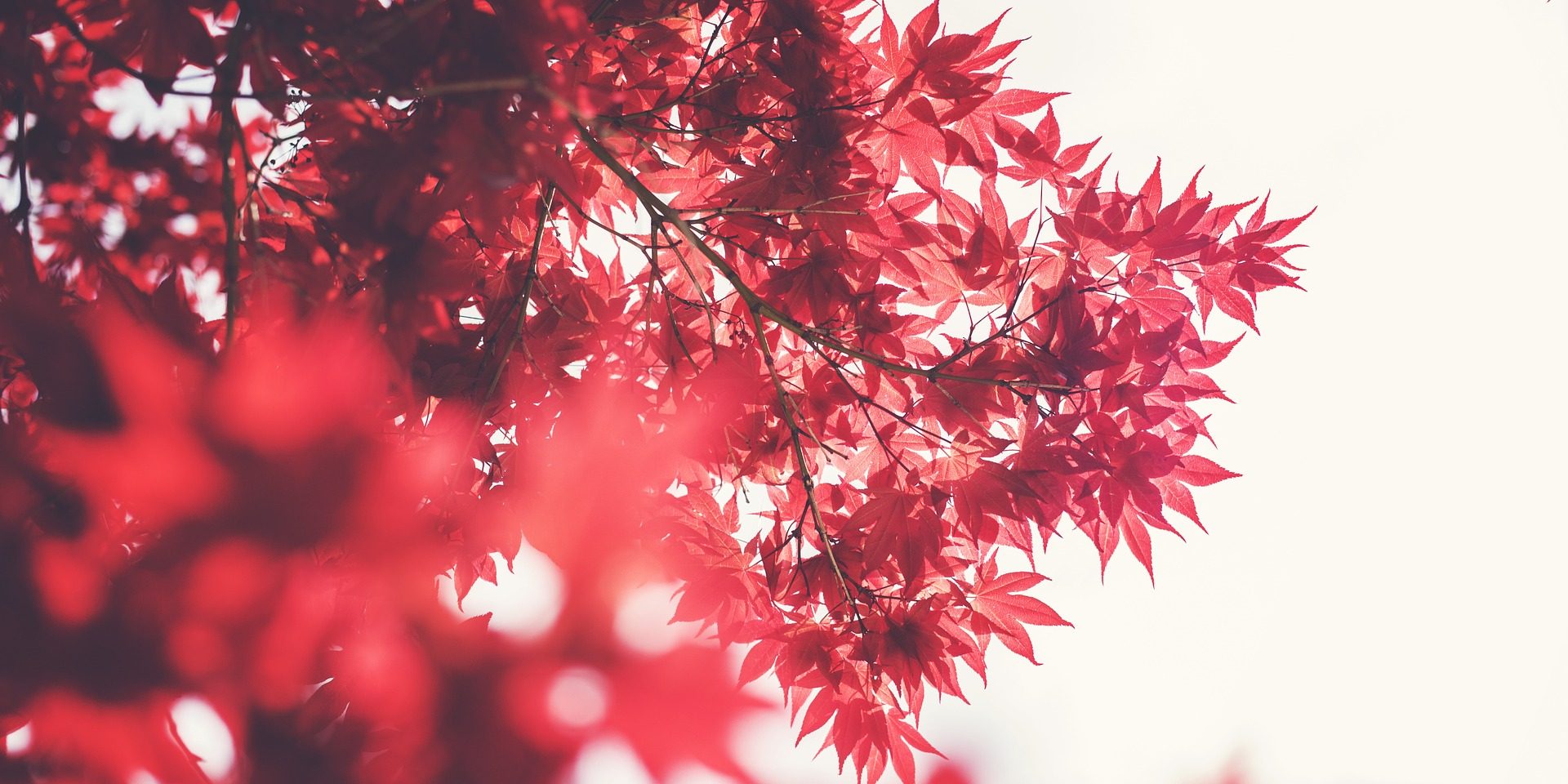 Usui Reiki Level 2 training course workshop school