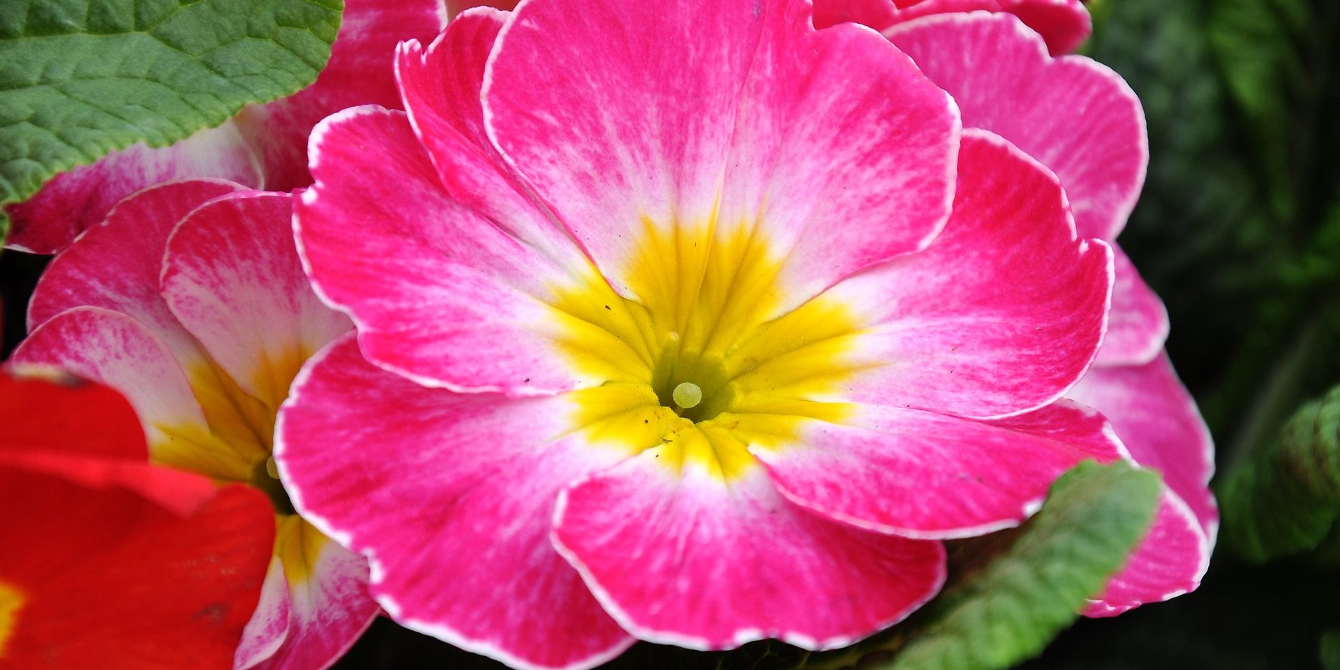 Usui Reiki 1 training course day