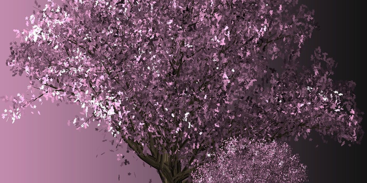 Reiki training school course