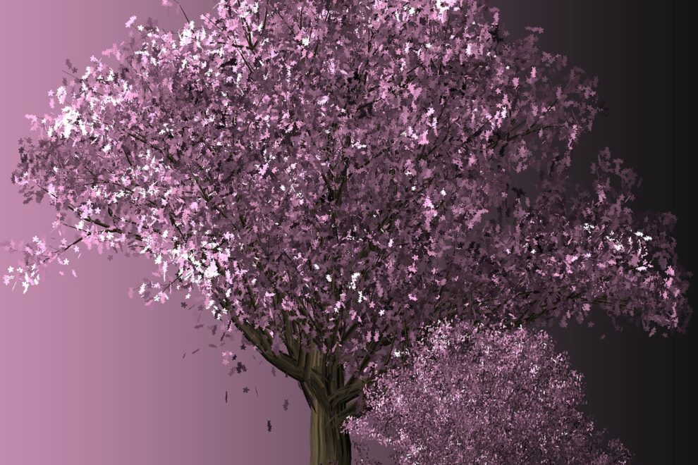 Reiki training school course