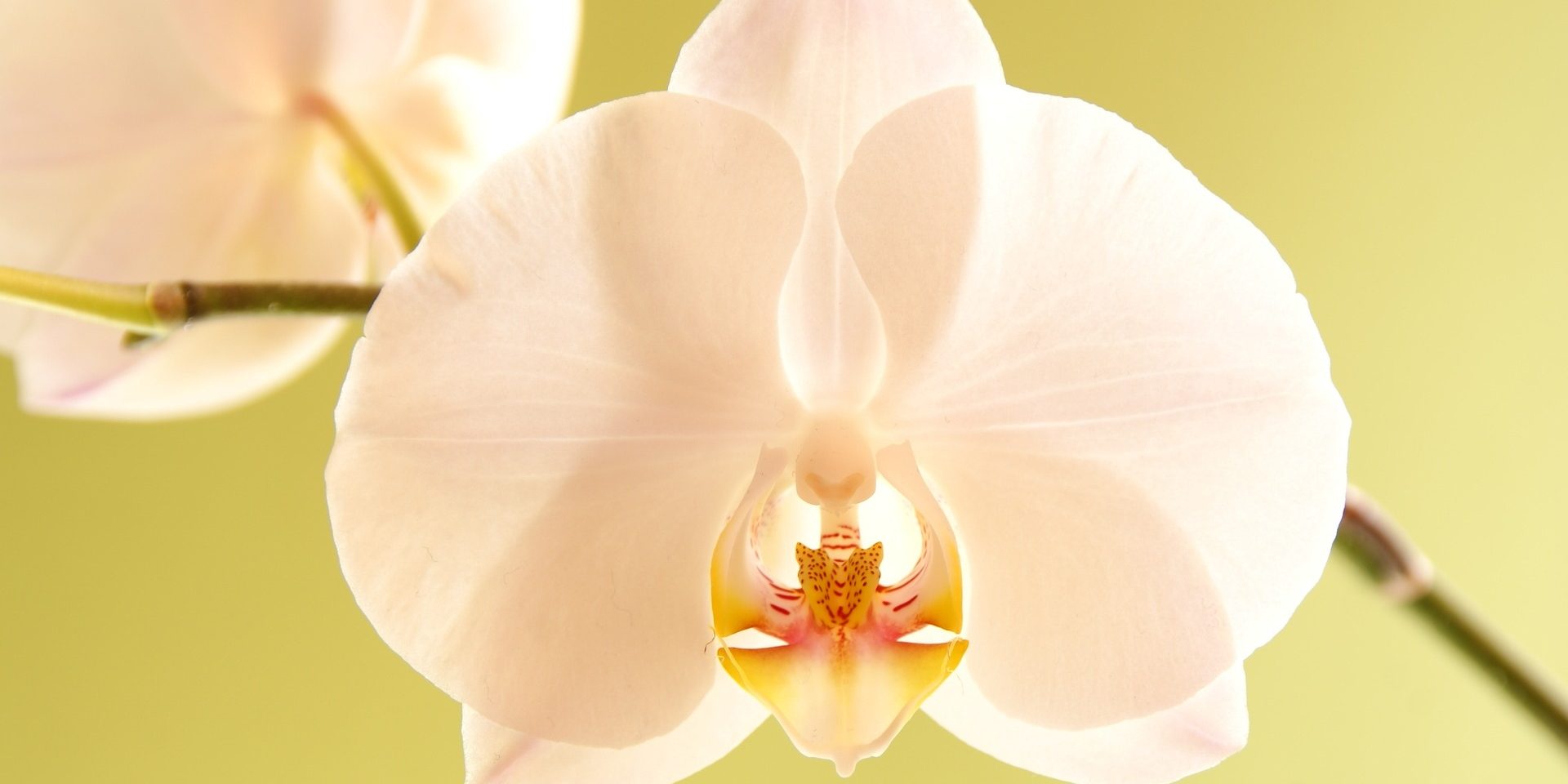 Usui Reiki Master teacher training day Warrington