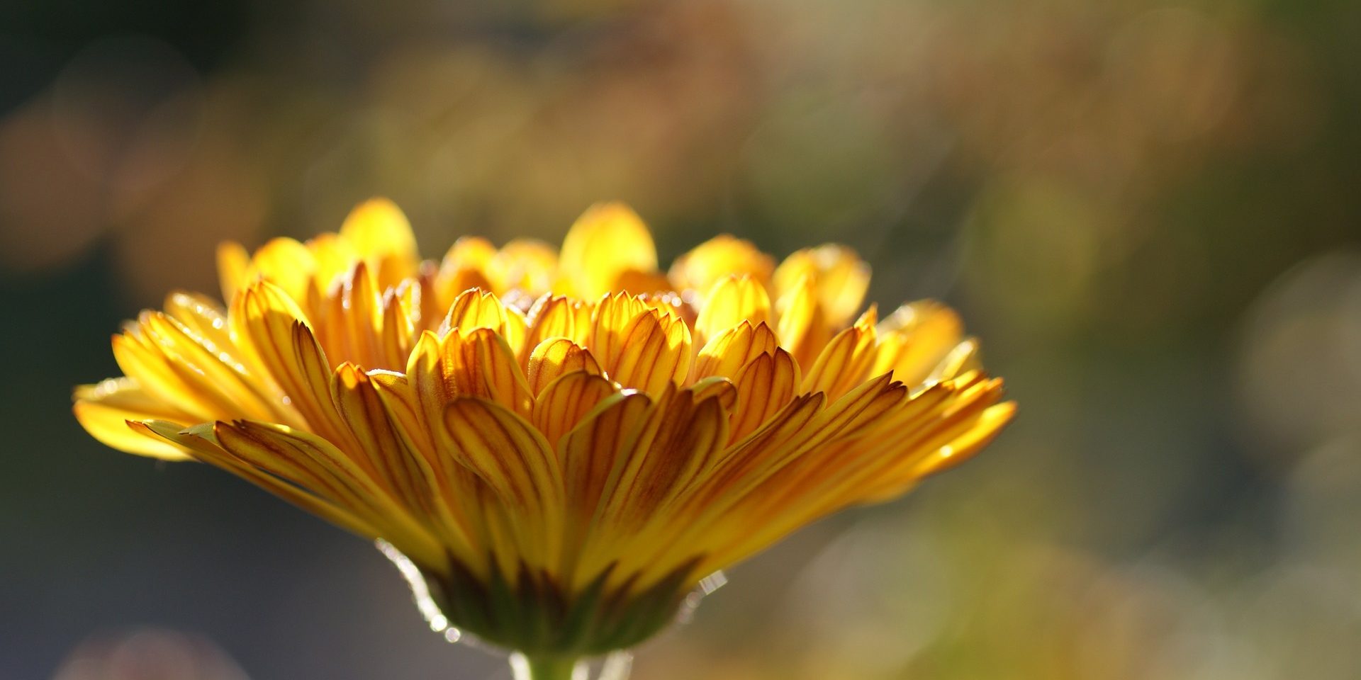 qualify in Usui Reiki 2 Practioner level Warrington Cheshire