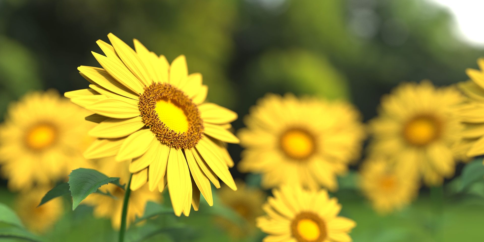 Usui Reiki training course Warrington Manchester