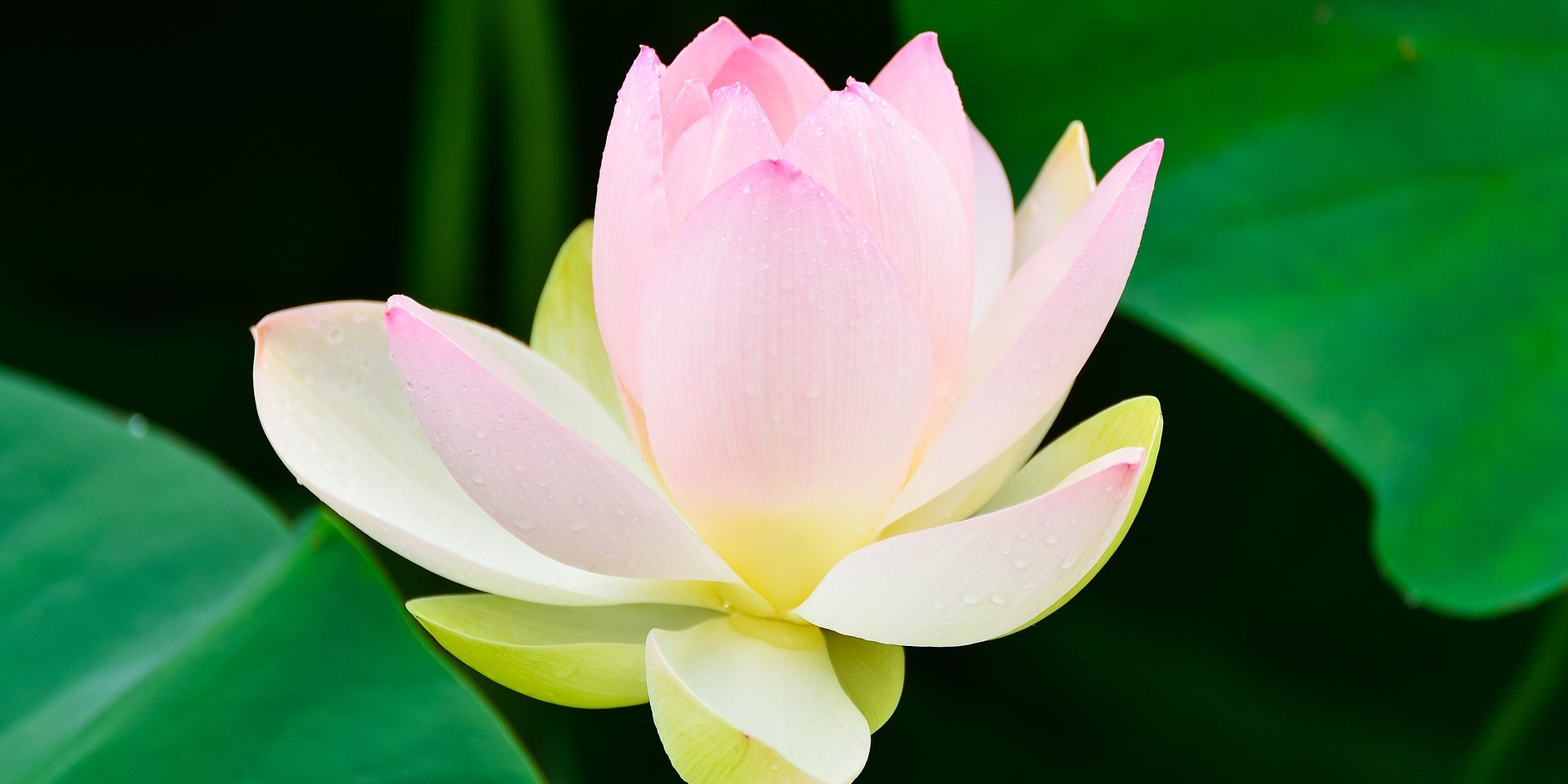 Reiki training course Cheshire