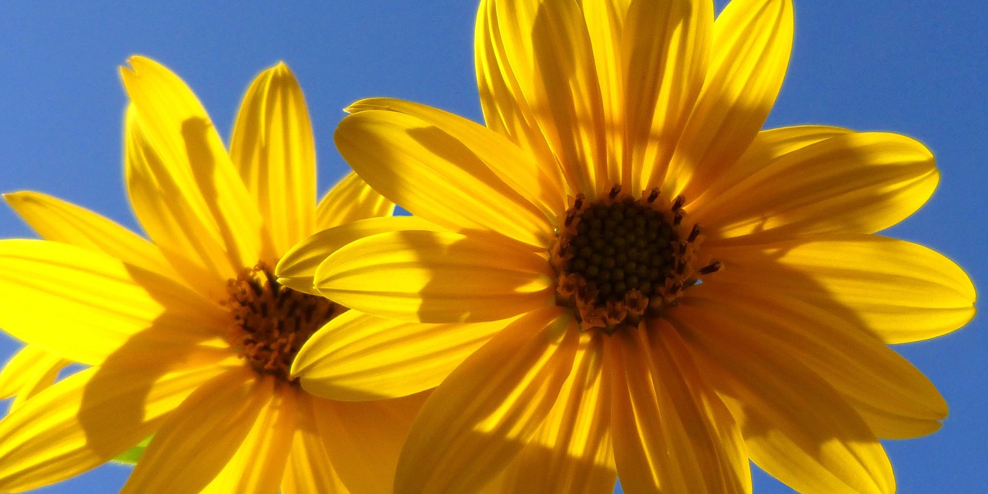 Reiki 2 practioner training course day event