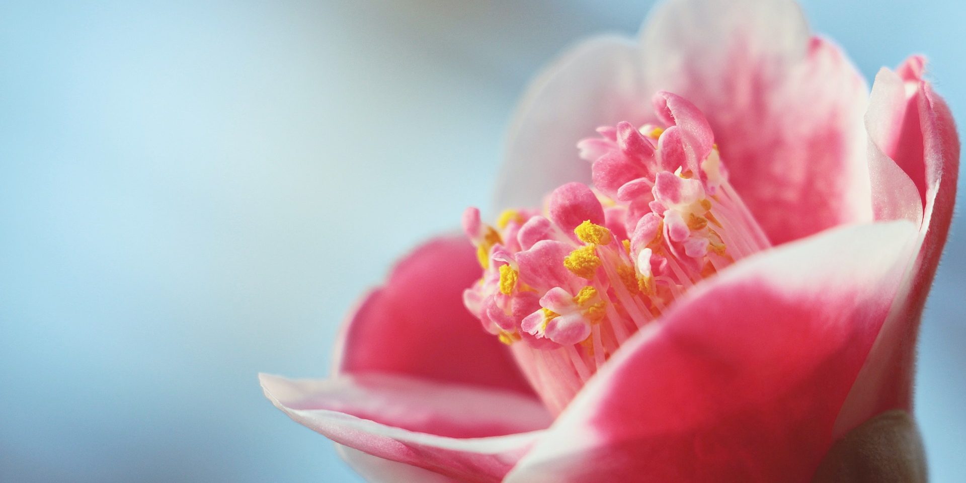 Usui Reiki Masters workshop training event Manchester