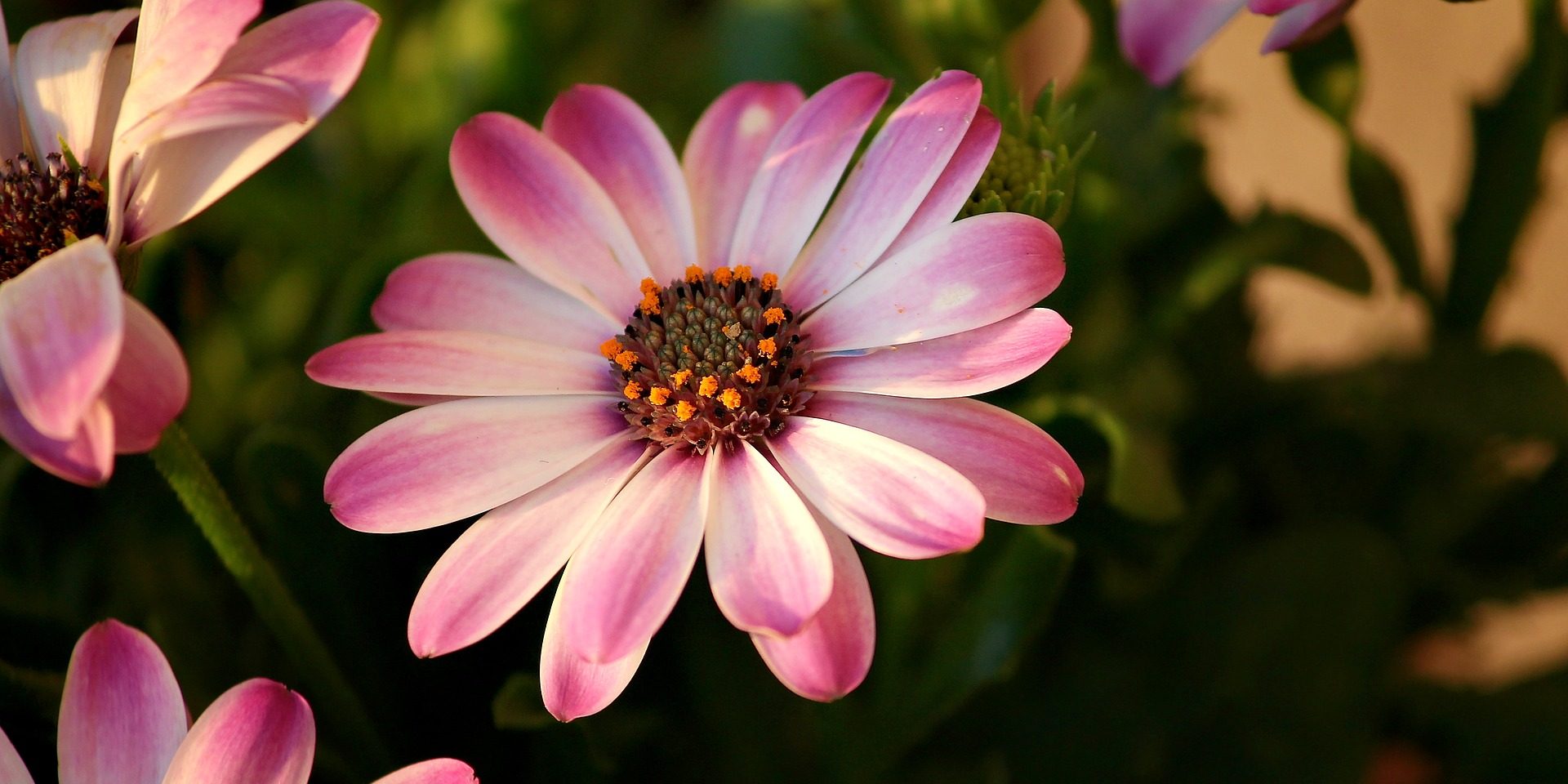 reiki teacher Warrington Cheshire