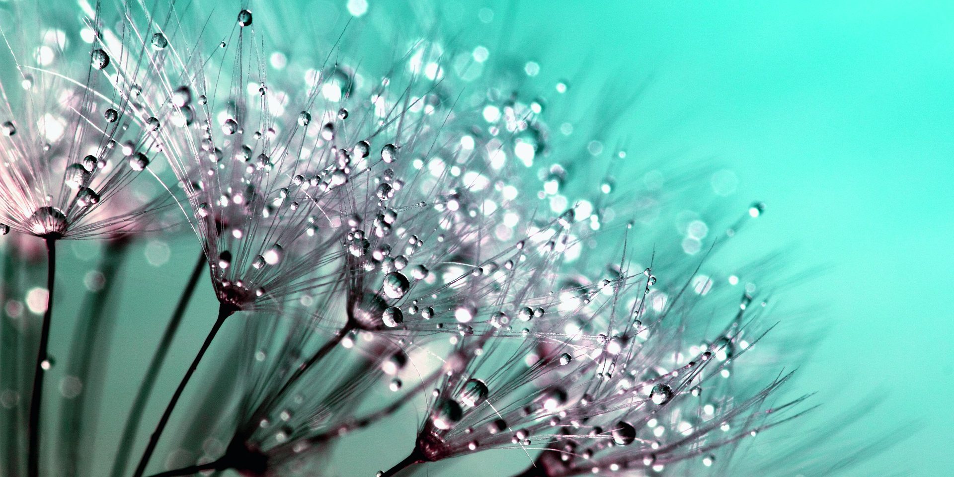 reiki training day course