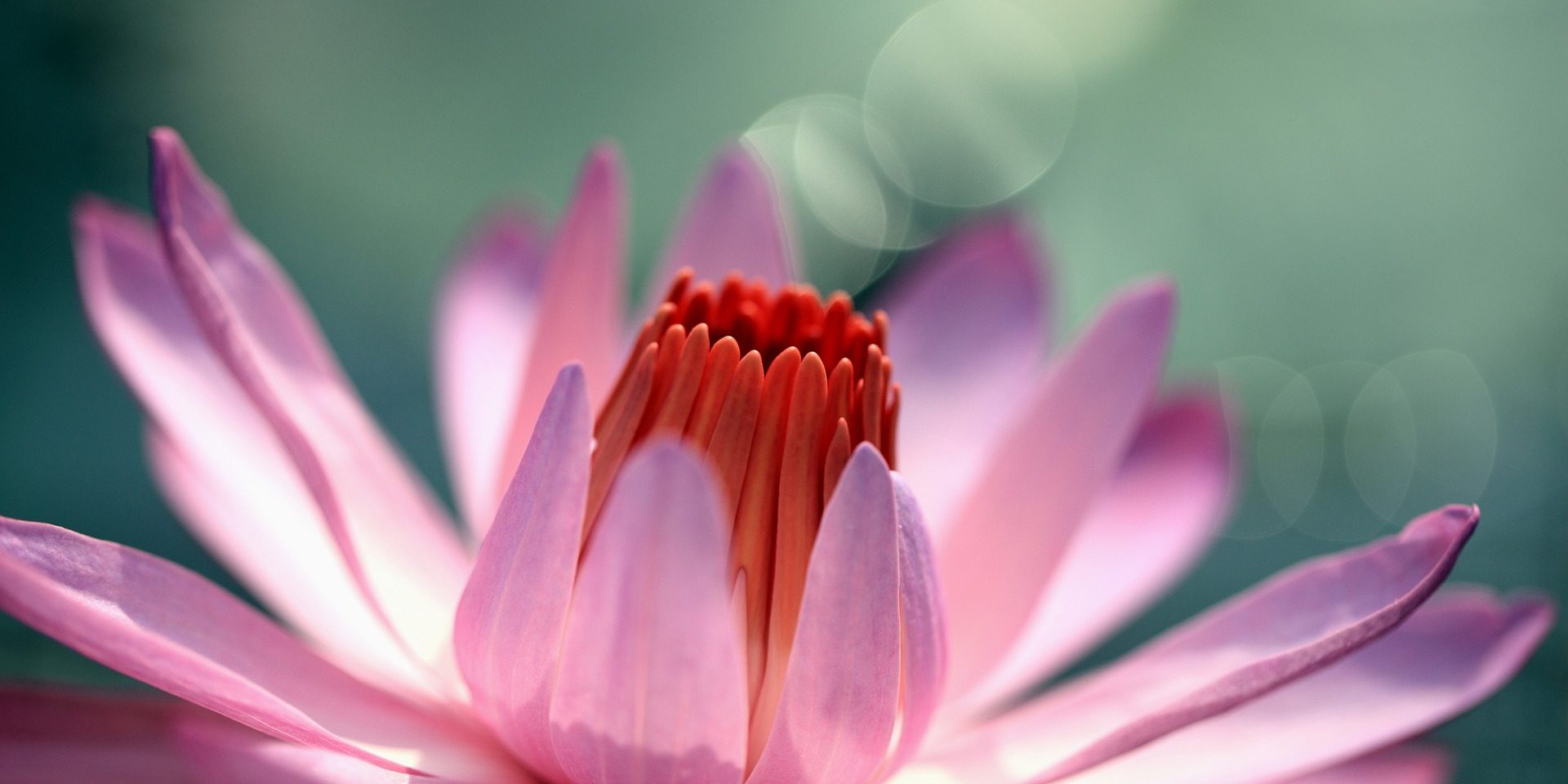 Reiki teaching course