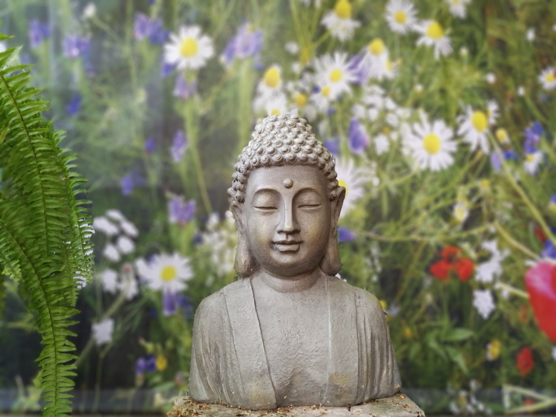 Карма buda. Карма Будда. Мастер Будда. Ясновидящий Будда. Карма в буддизме фото.
