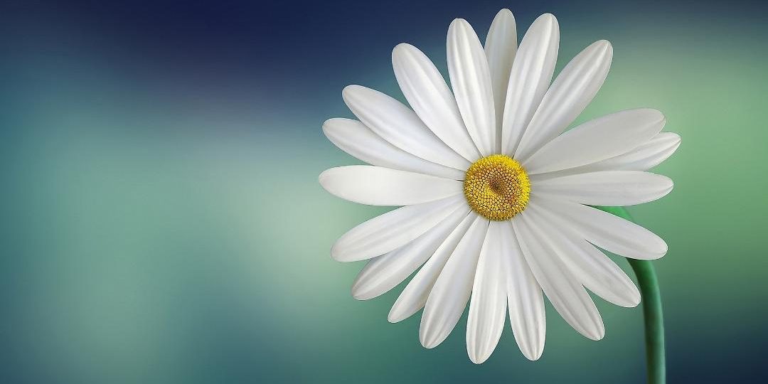 Reiki training course