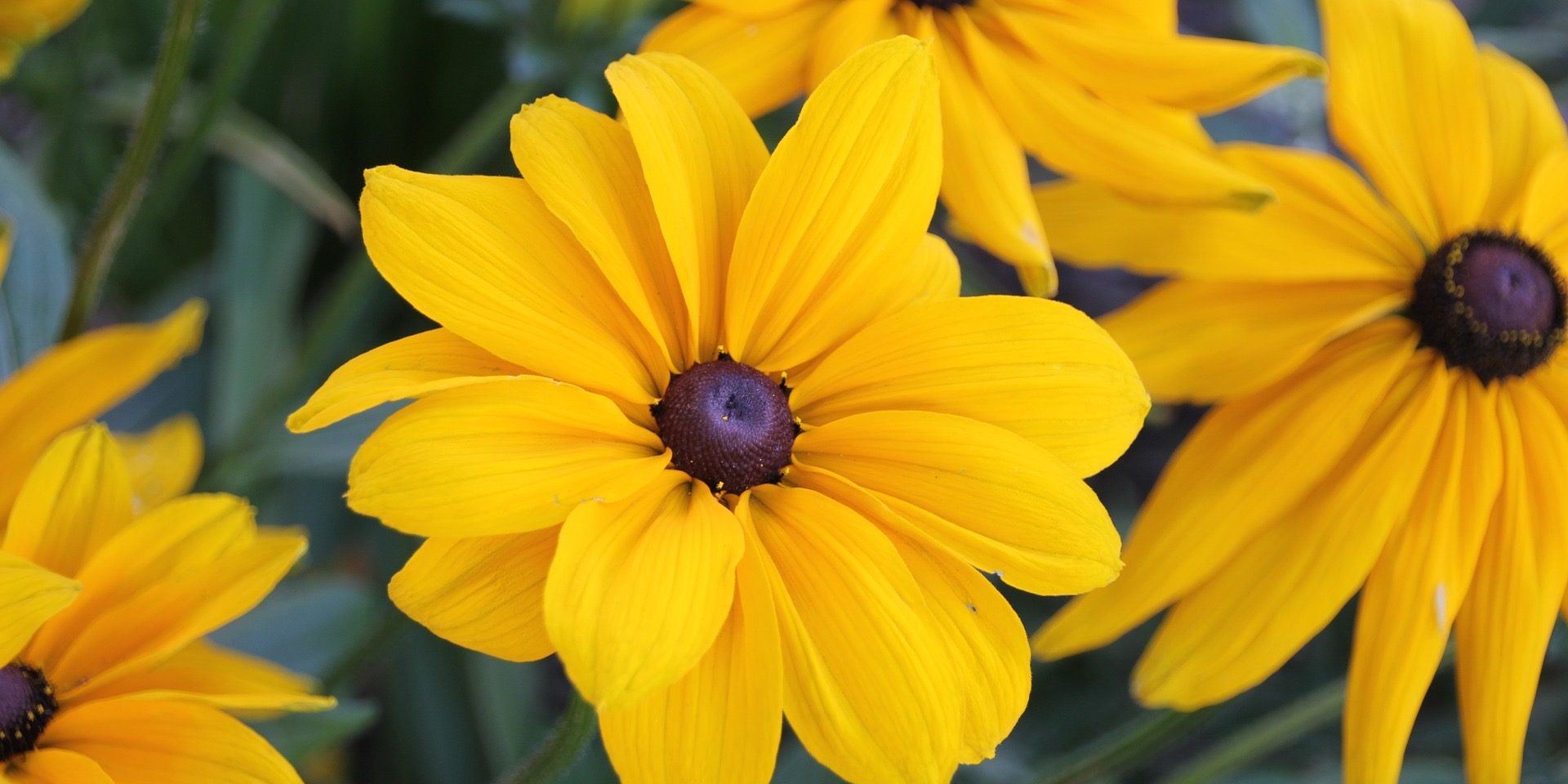 Learn Reiki 1 Cheshire