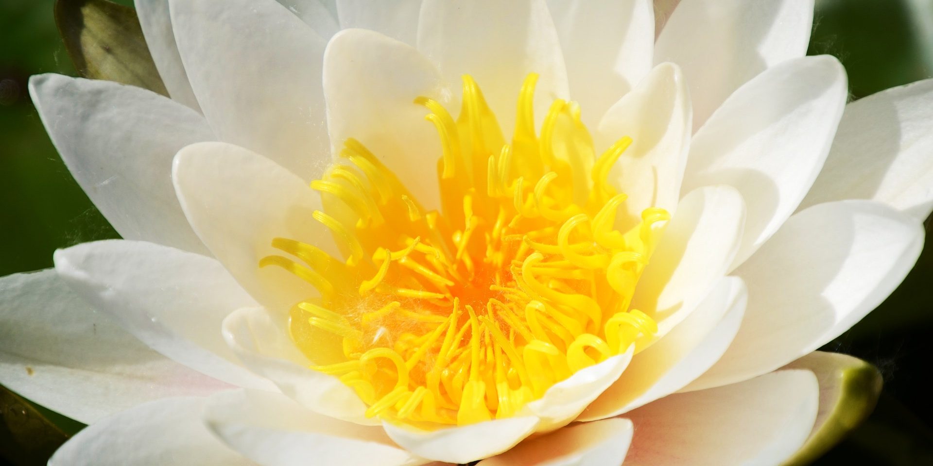 approved reiki course