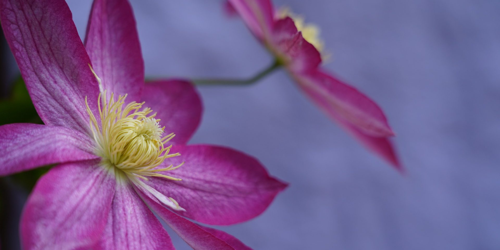 Reiki training course