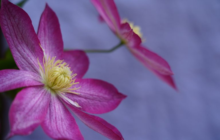 Reiki training course