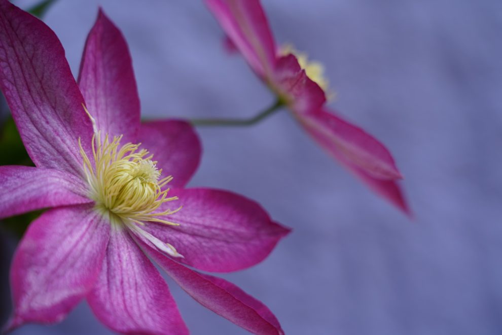 Reiki training course