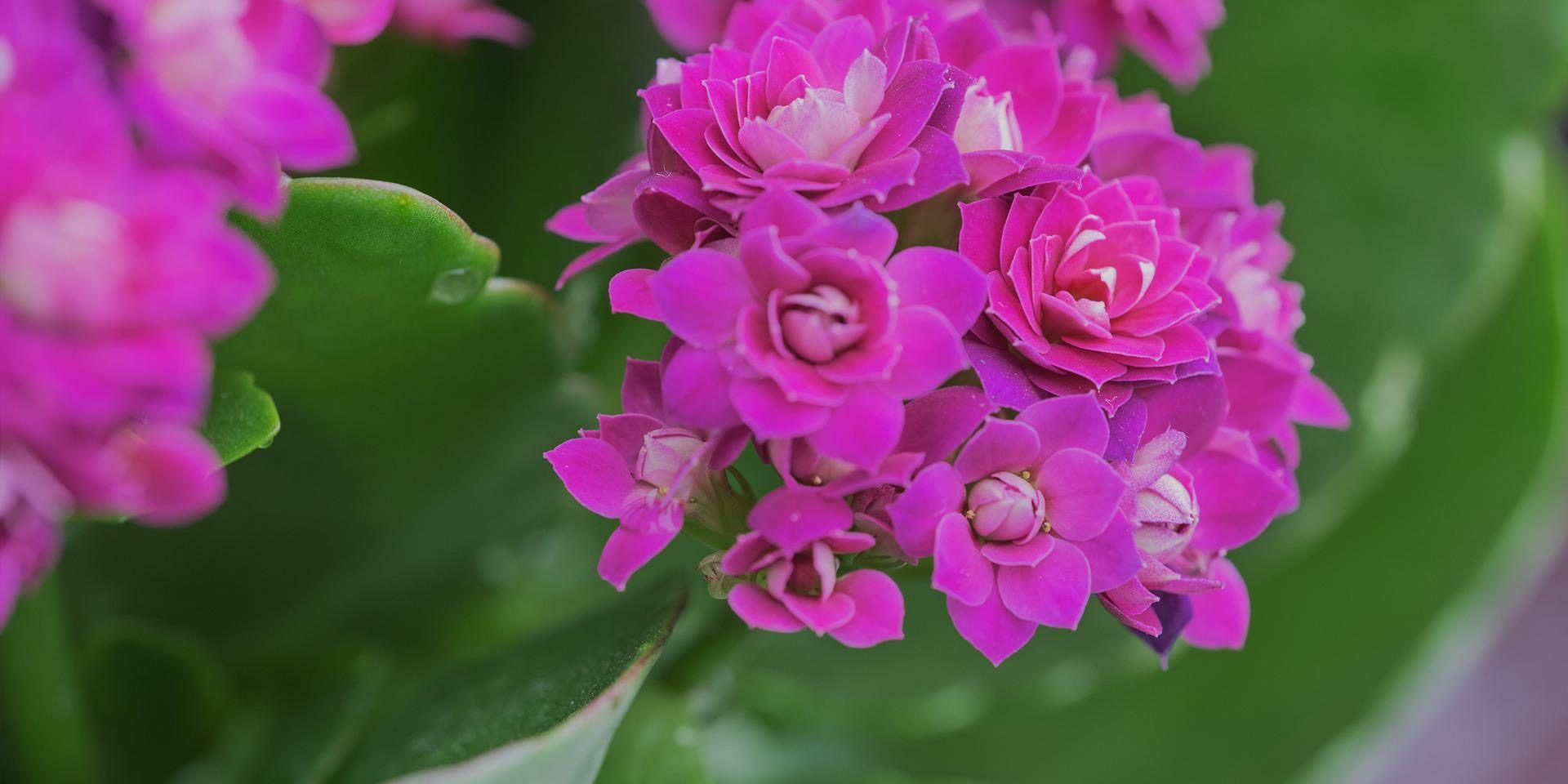 self care Reiki level 1