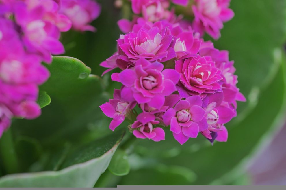 self care Reiki level 1