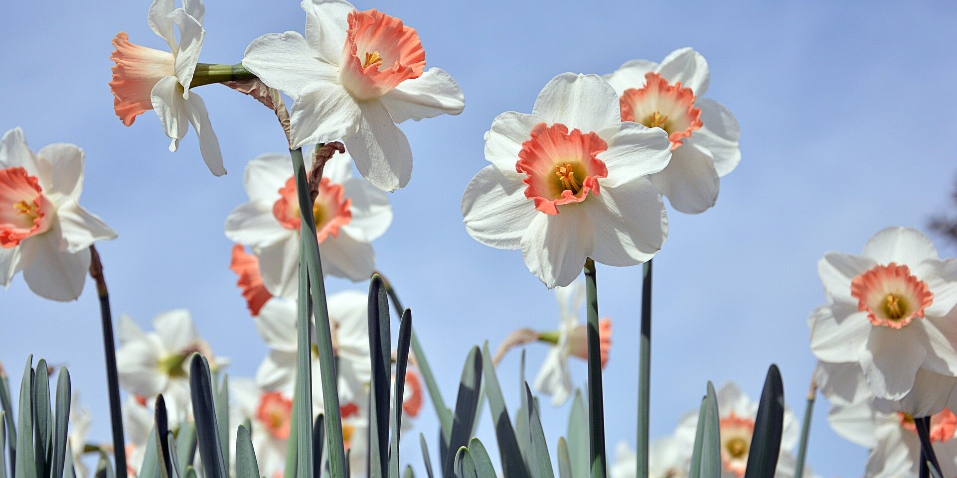 Reiki 1 Approved Course