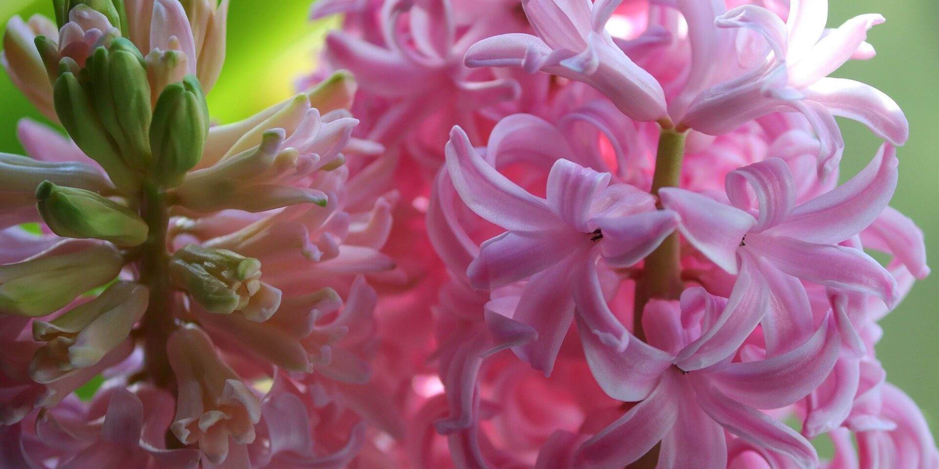 Reiki approved training