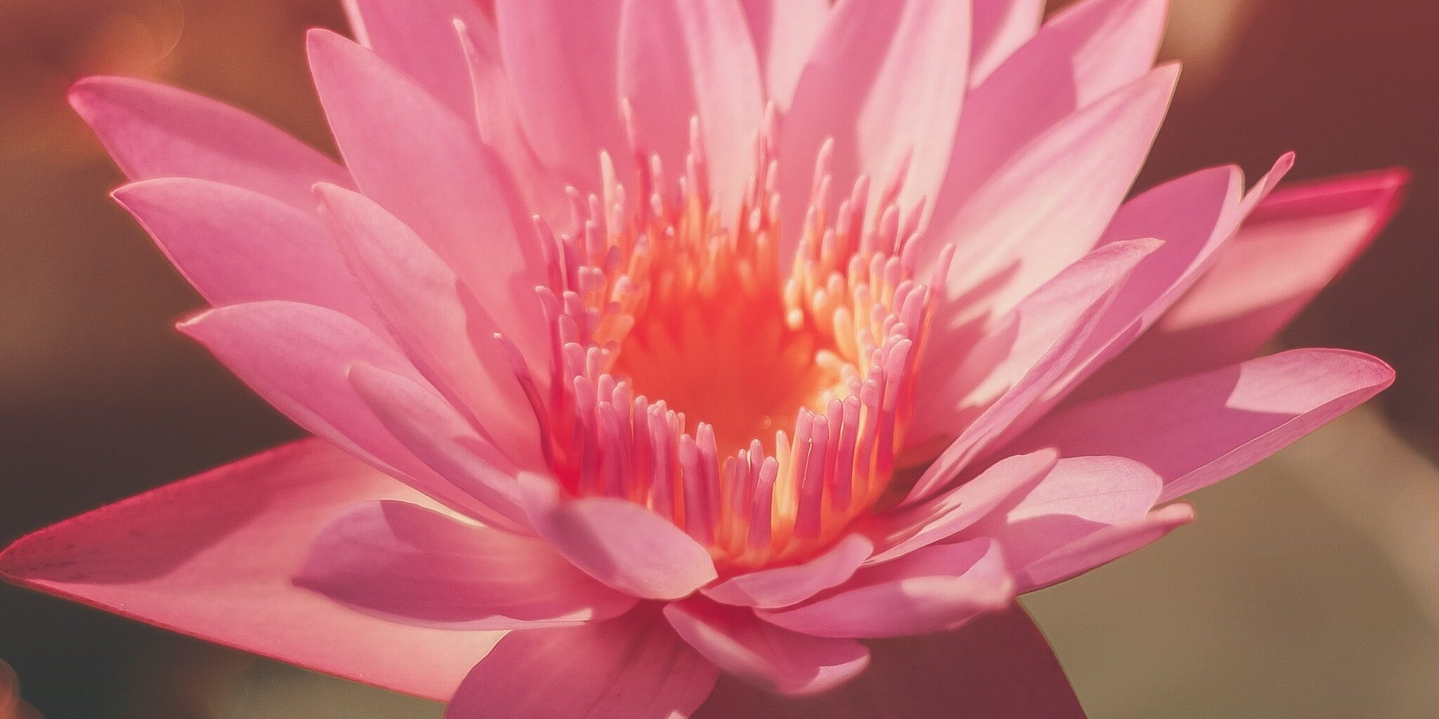 Learn Reiki 2 Cheshire