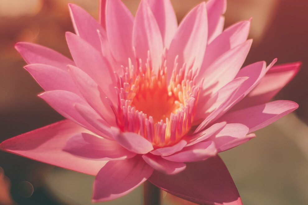 Learn Reiki 2 Cheshire