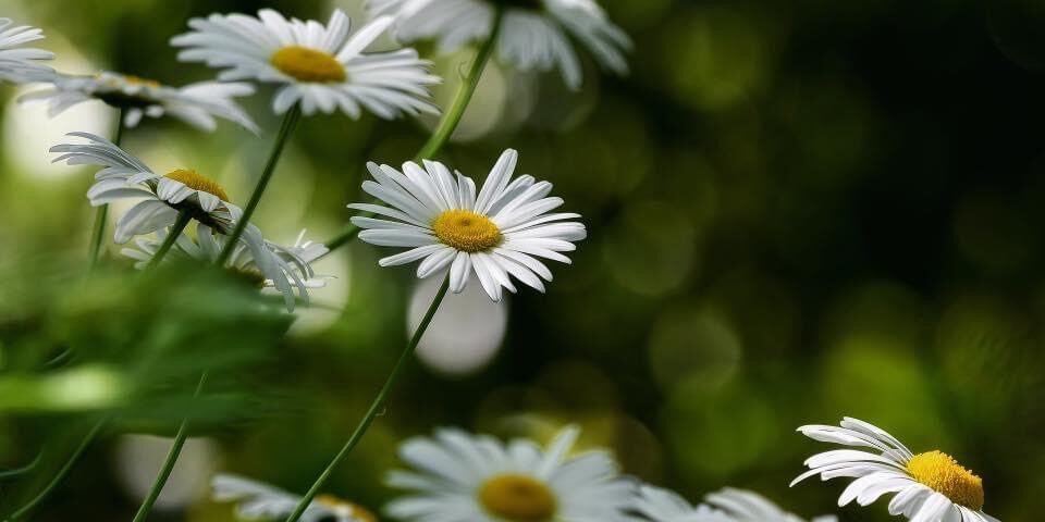 Reiki 2 training qualification