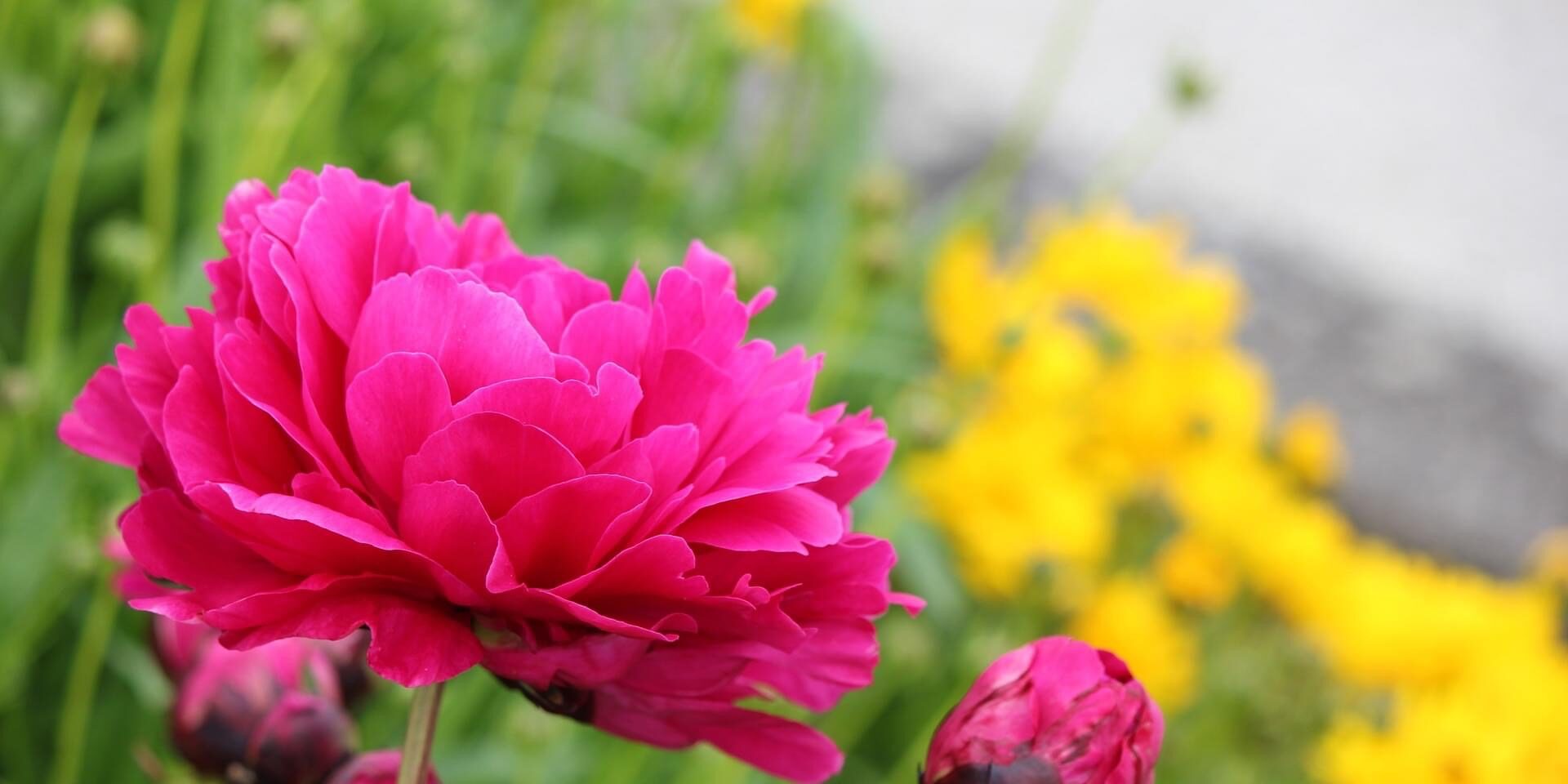 Reiki 1 training event