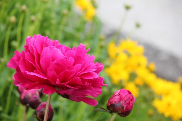 Reiki 1 training event