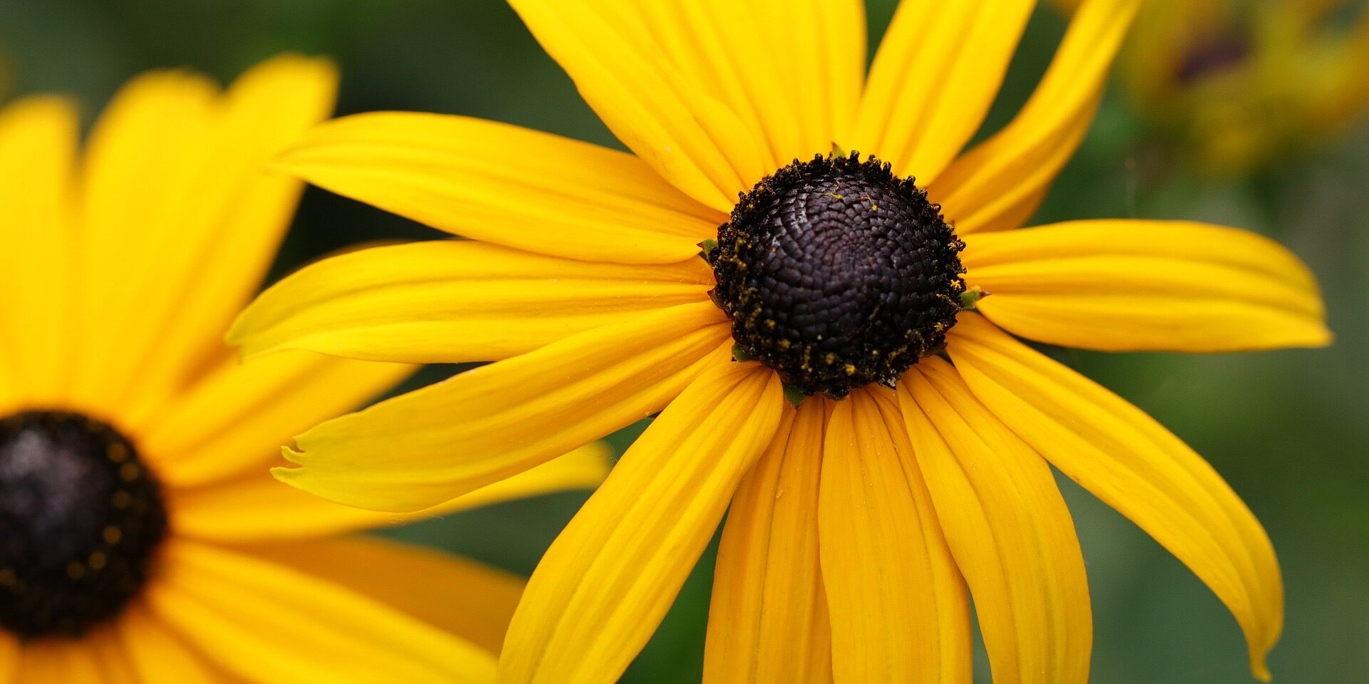 Reiki Level 2 Training