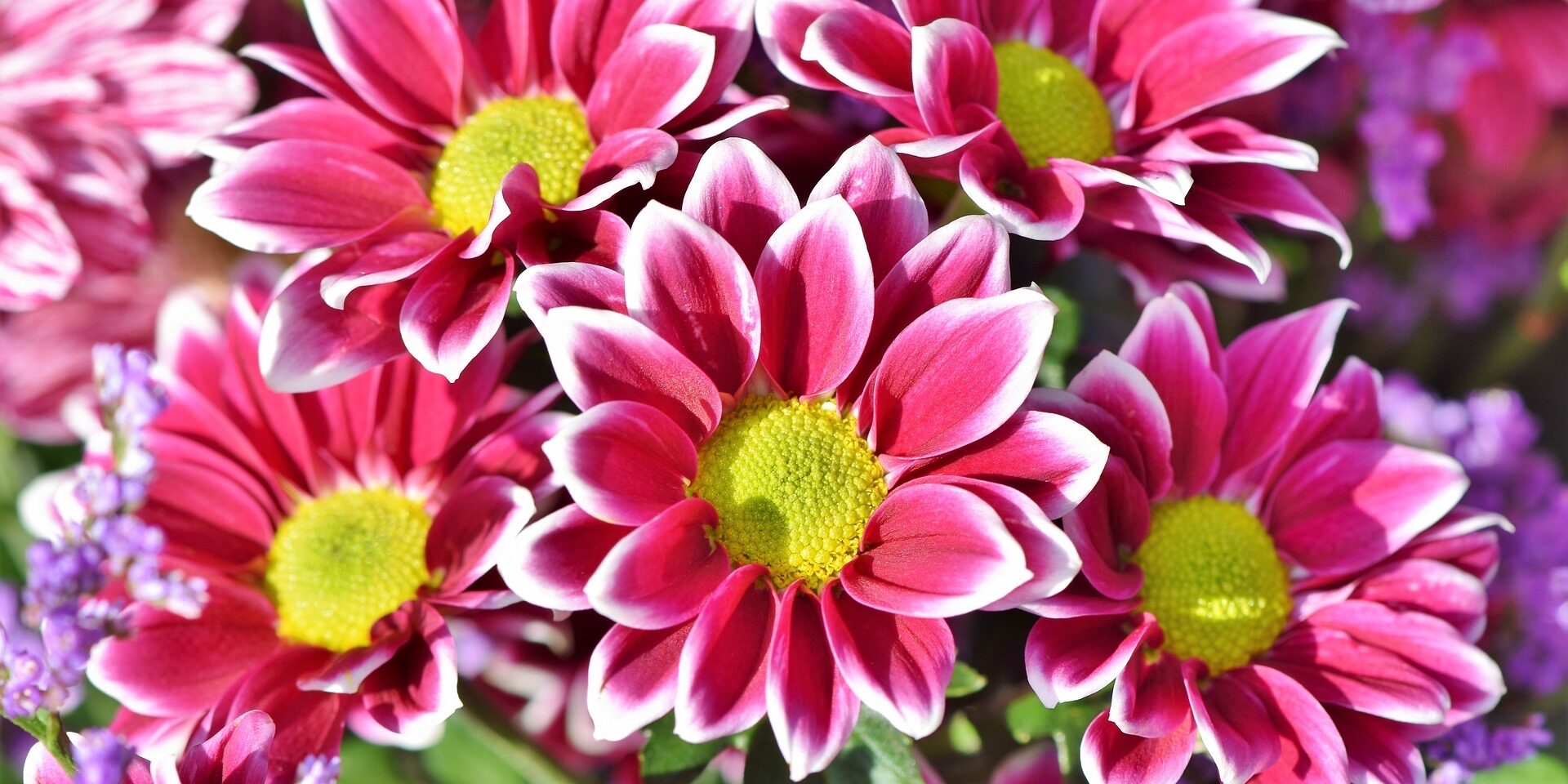 Reiki 1 training course