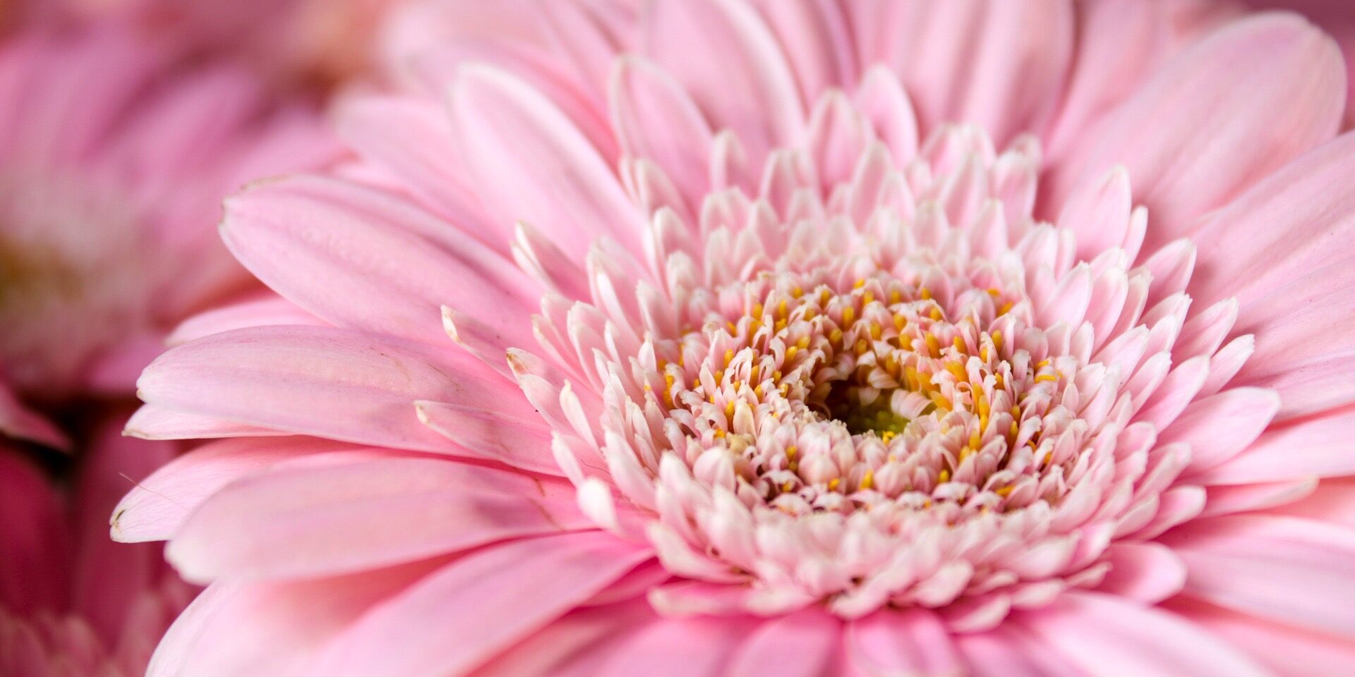 Reiki 2 training day