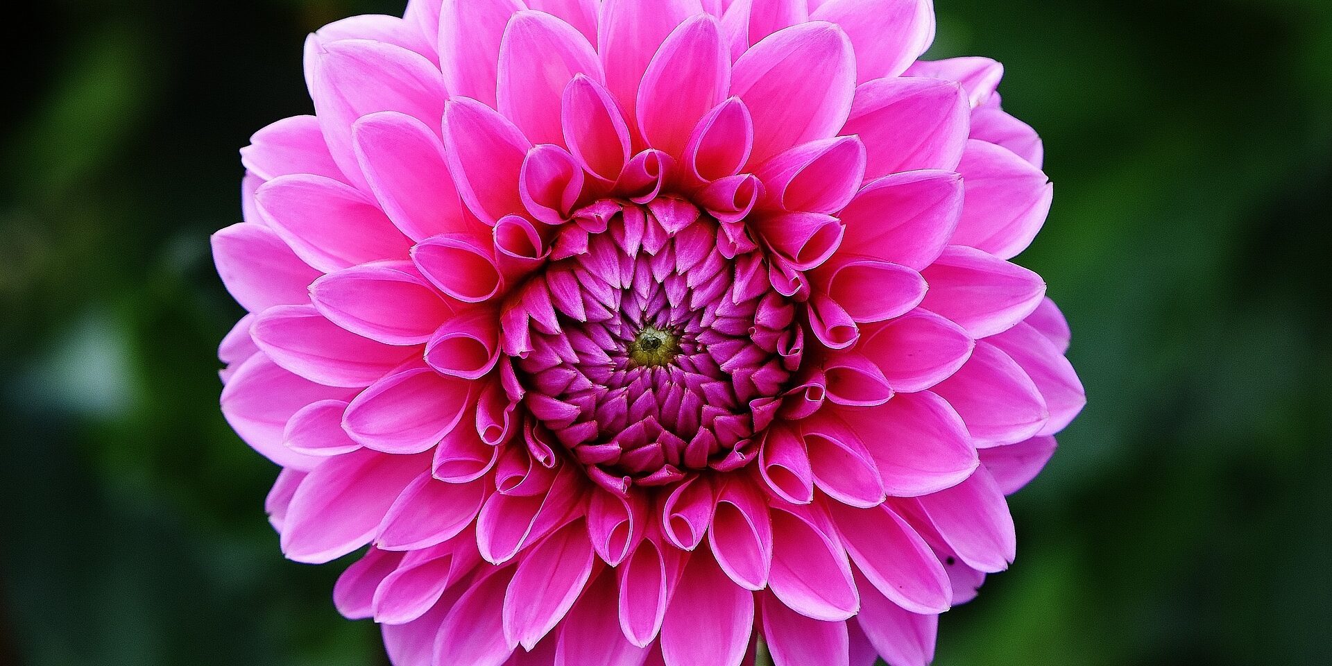 Become a reiki therapist