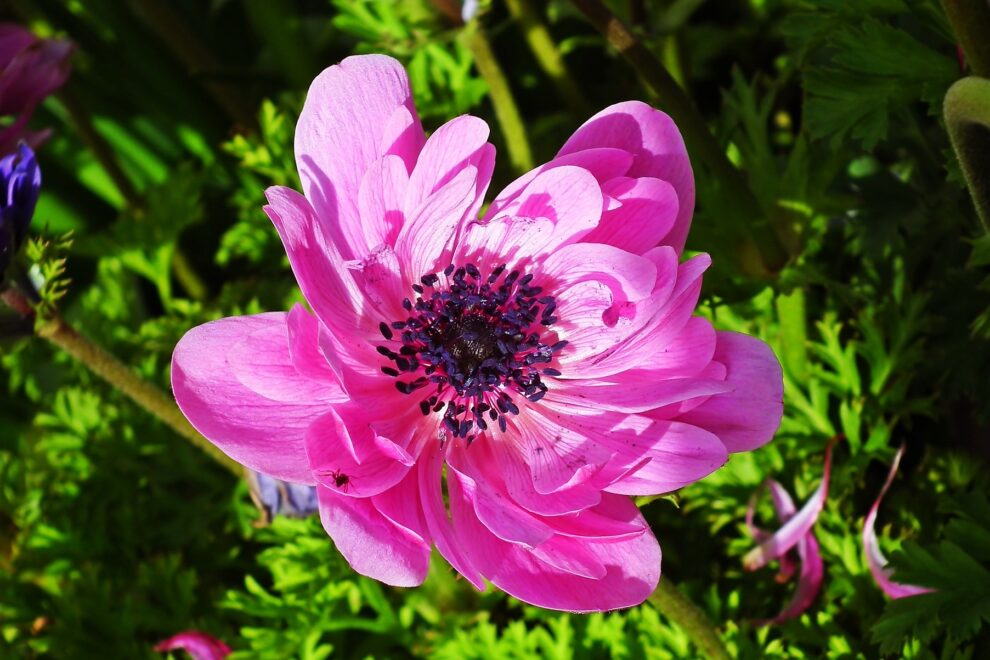 Reiki Master teacher training