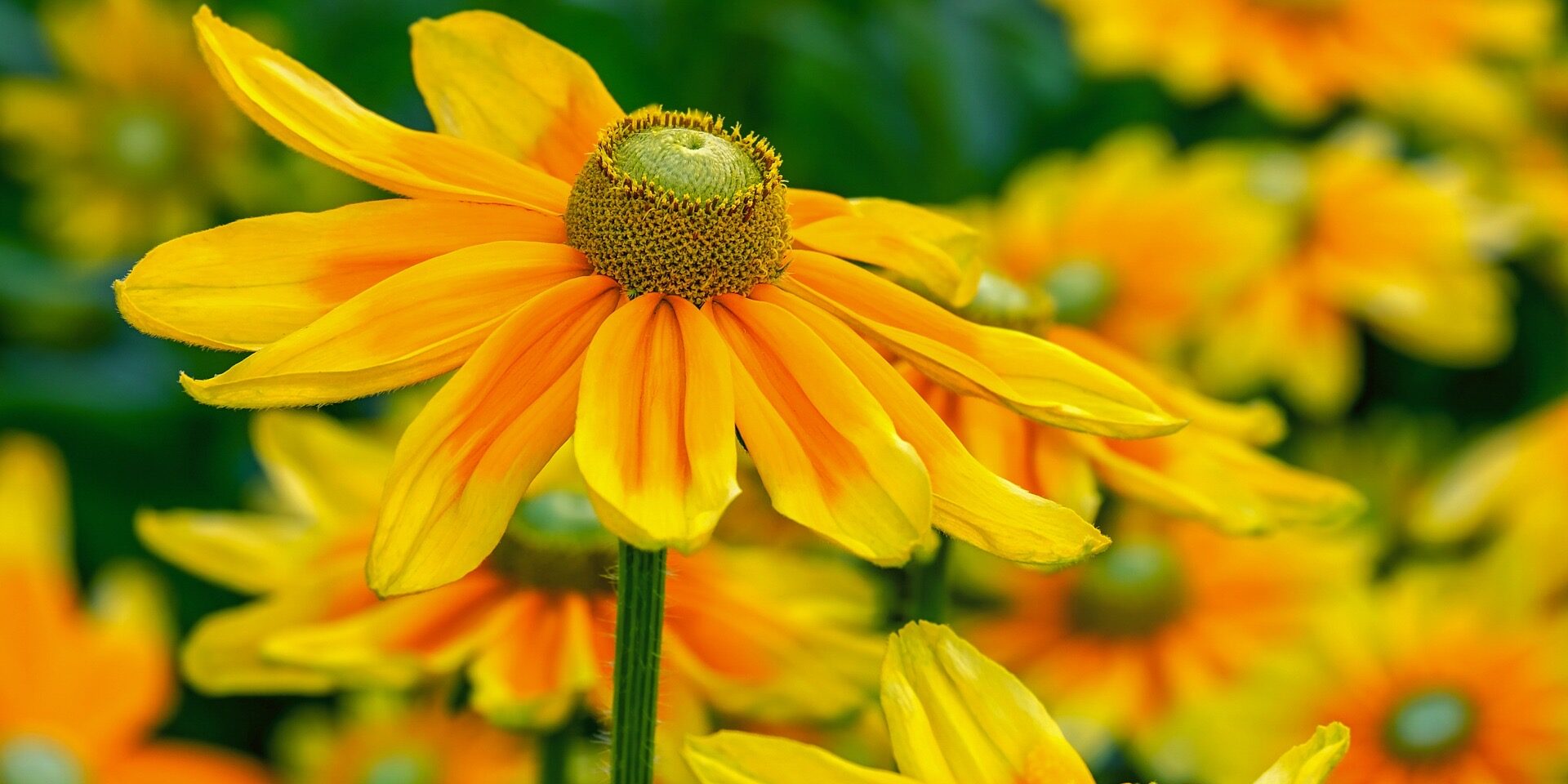 Best reiki 2 training Warrington