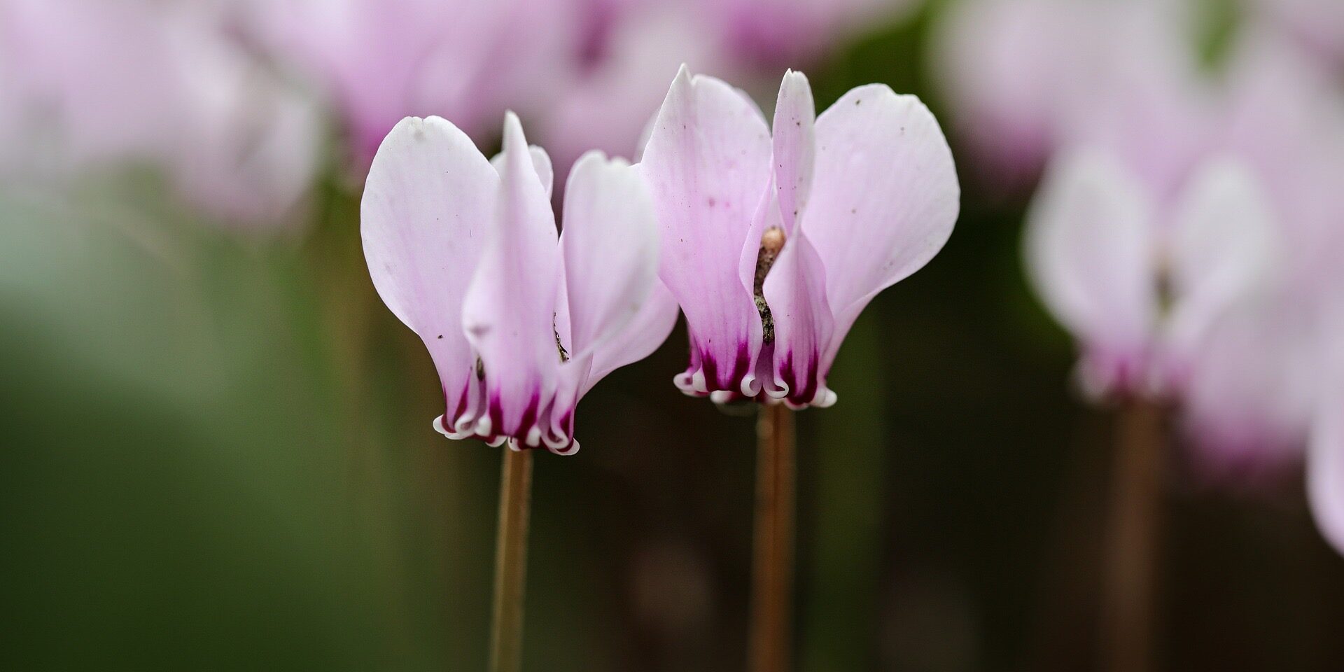 Beginners Reiki 1 Warrington