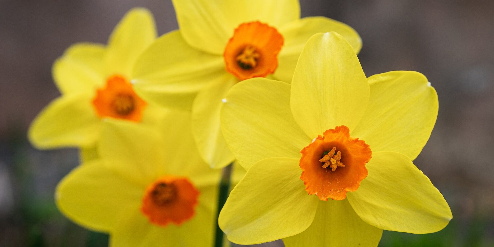 Reiki level 2 , Warrington