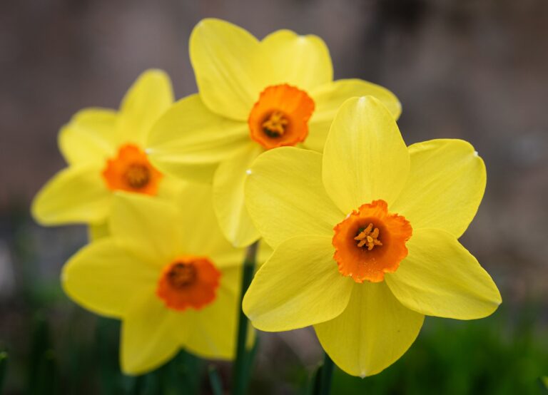 Reiki level 2 , Warrington