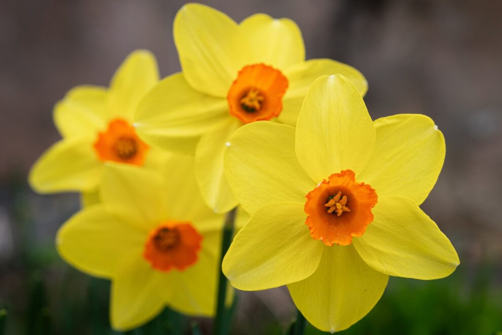 Reiki level 2 , Warrington