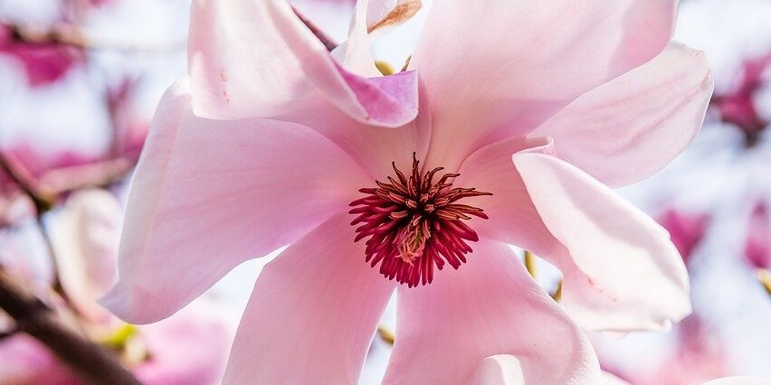 Reiki Master Warrington