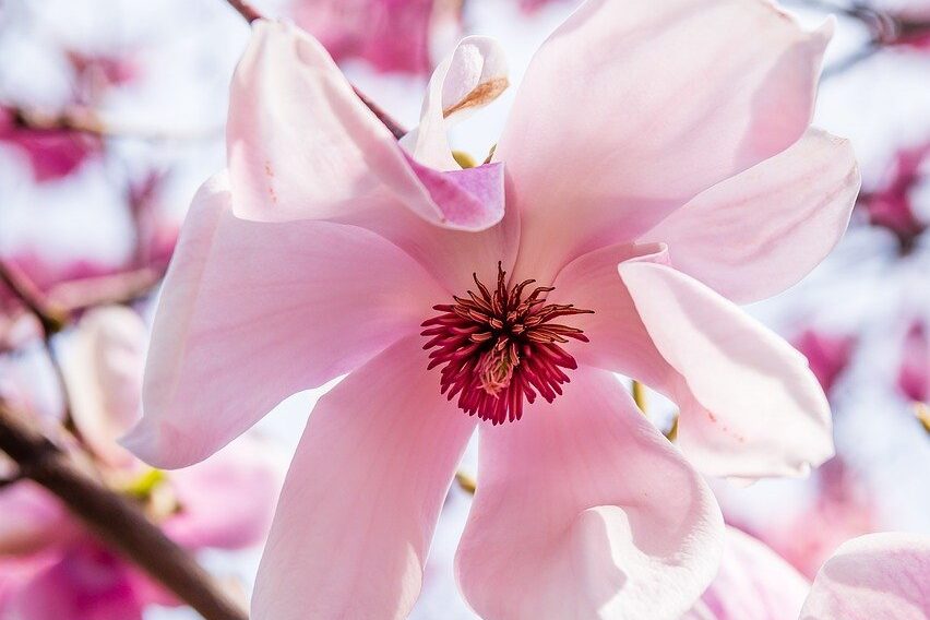 Reiki Master Warrington