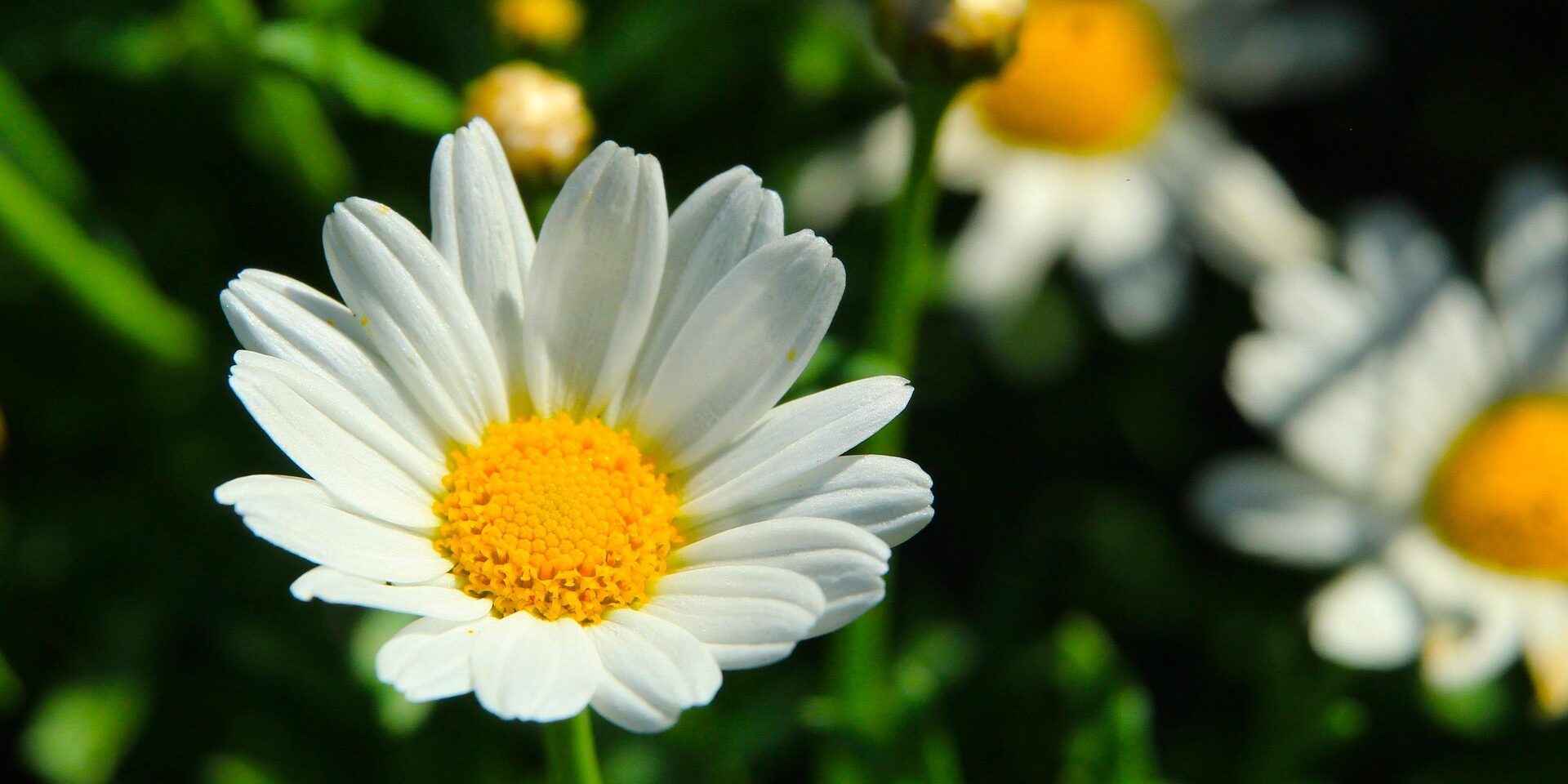 Reiki 1 Warrington Bank Holiday