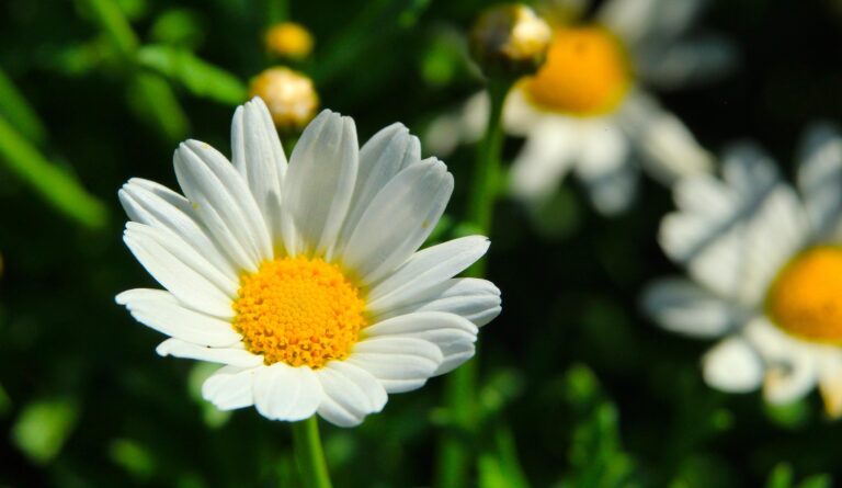 Reiki 1 Warrington Bank Holiday