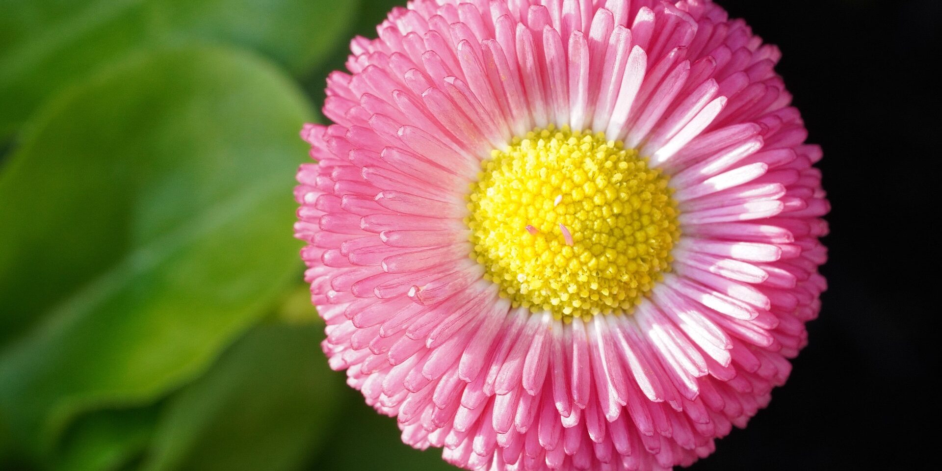 Reiki 2 training Warrington