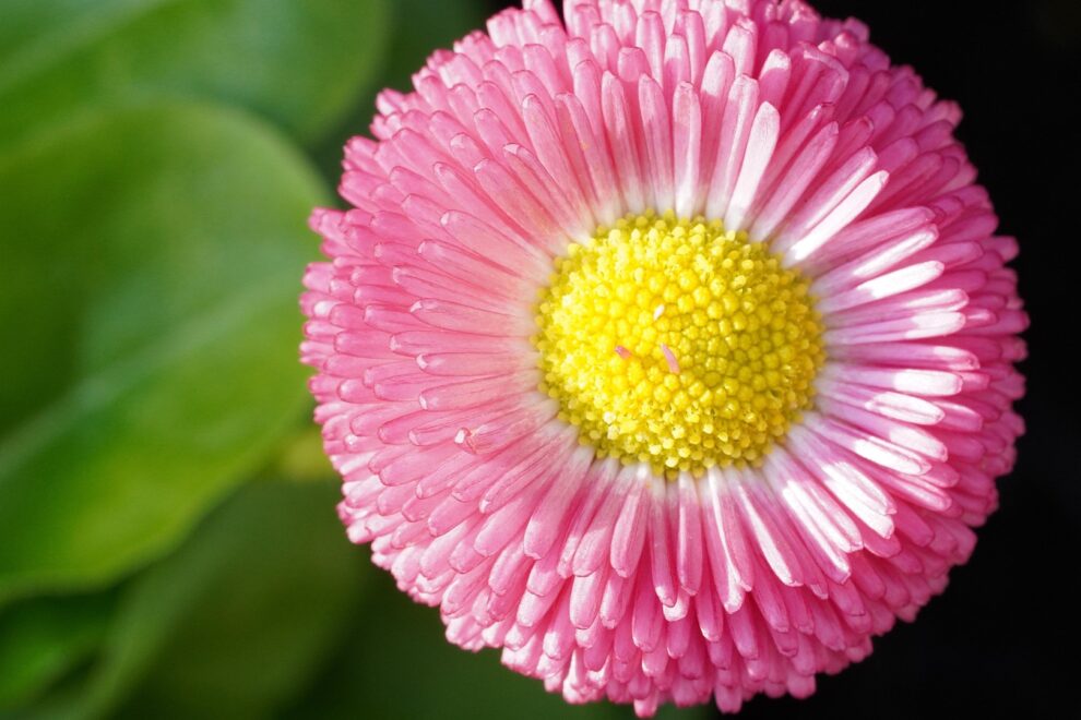 Reiki 2 training Warrington