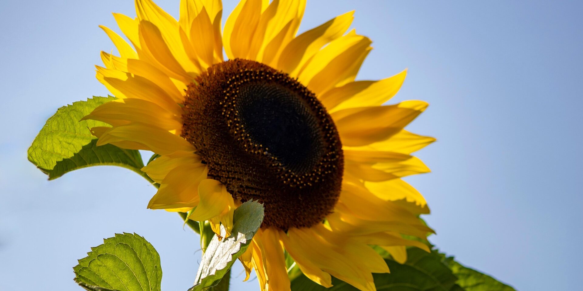 Reiki 1 training Warrington, Cheshire